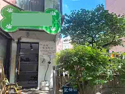 低价急转！黄河路主道旁经营8年宠物店