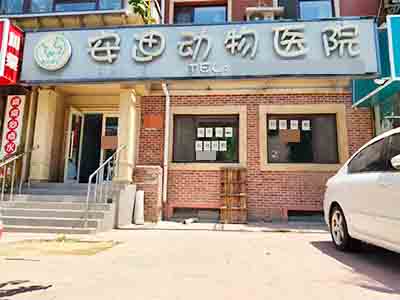 绿波商业街240平空铺出租